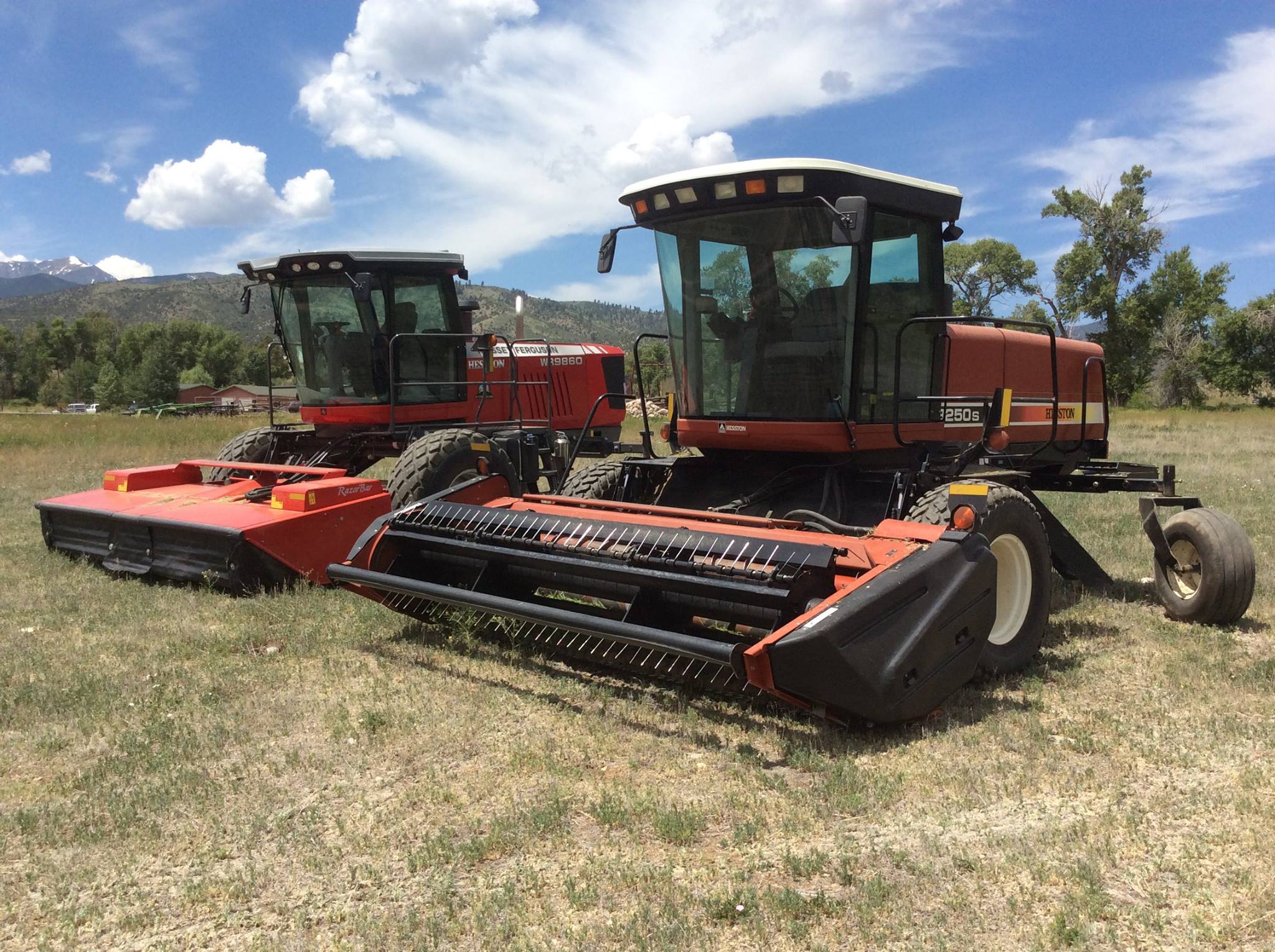 Hesston by Massey Ferguson in a field